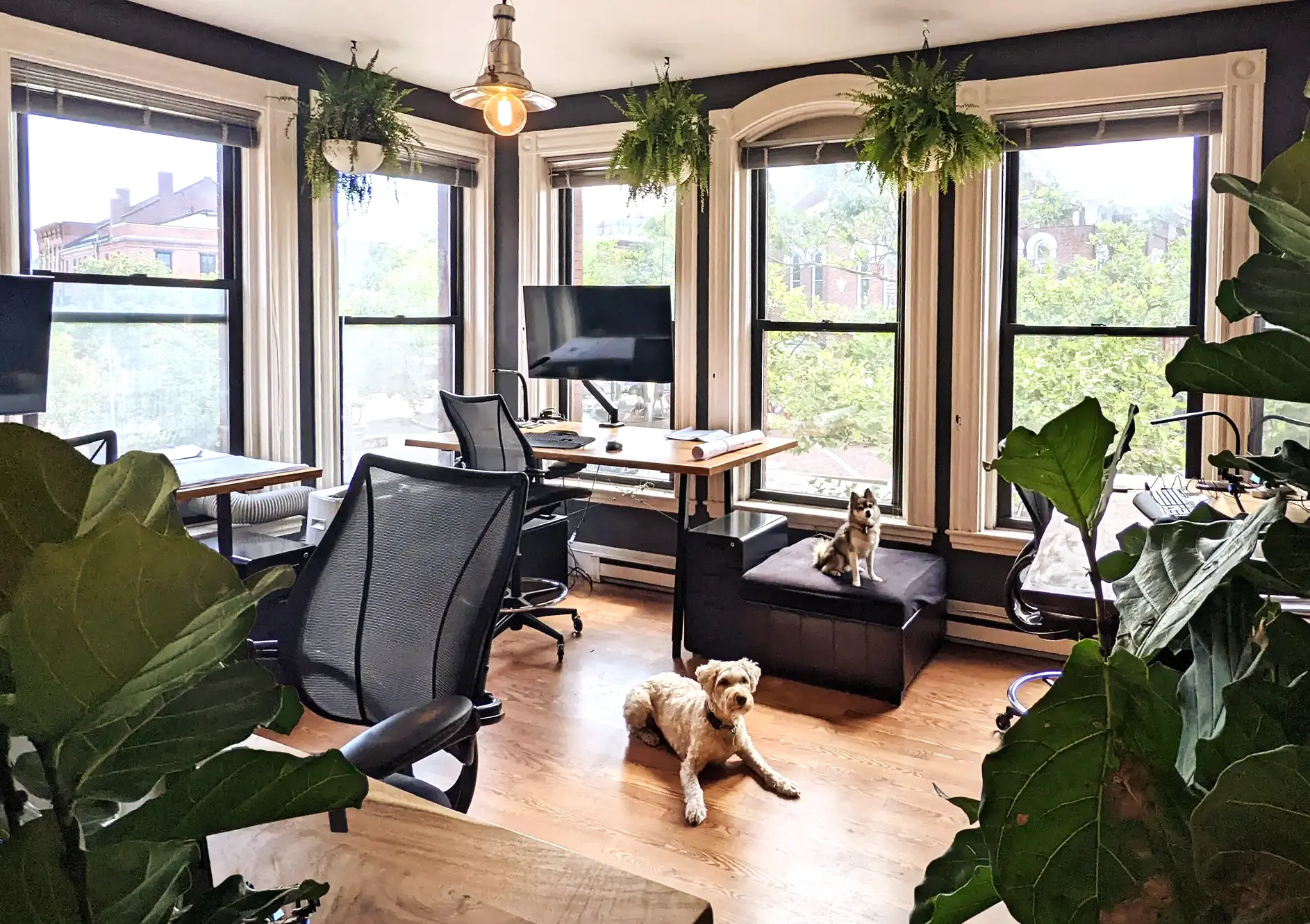 Interior view of ARCove Architecture's office located in a historic building in downtown Portsmouth, NH
